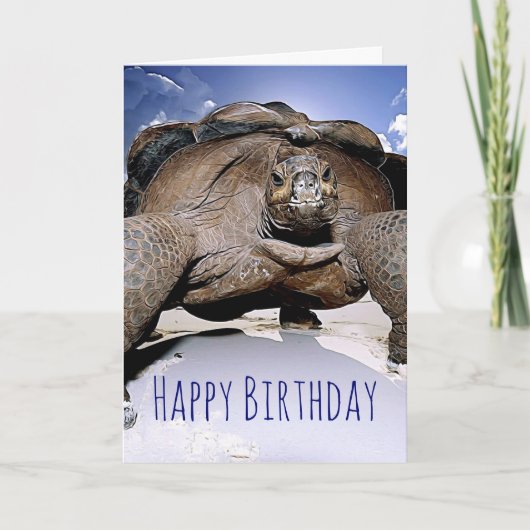 Turtle Happy Birthday Wenskaart Kaart (Voorkant)