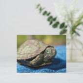 Turtle Hatchling op Denim Briefkaart (Staand voorkant)