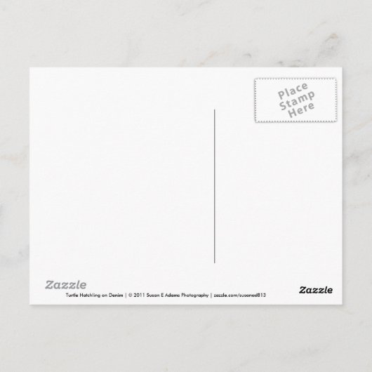 Turtle Hatchling op Denim Briefkaart (Achterkant)