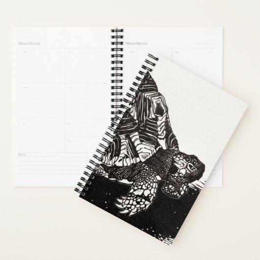 Turtle Haven 2024: een terrariumavontuur van een j Planner (Display)