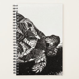 Turtle Haven 2024: een terrariumavontuur van een j Planner