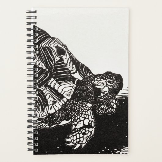 Turtle Haven 2024: een terrariumavontuur van een j Planner (Voorkant)