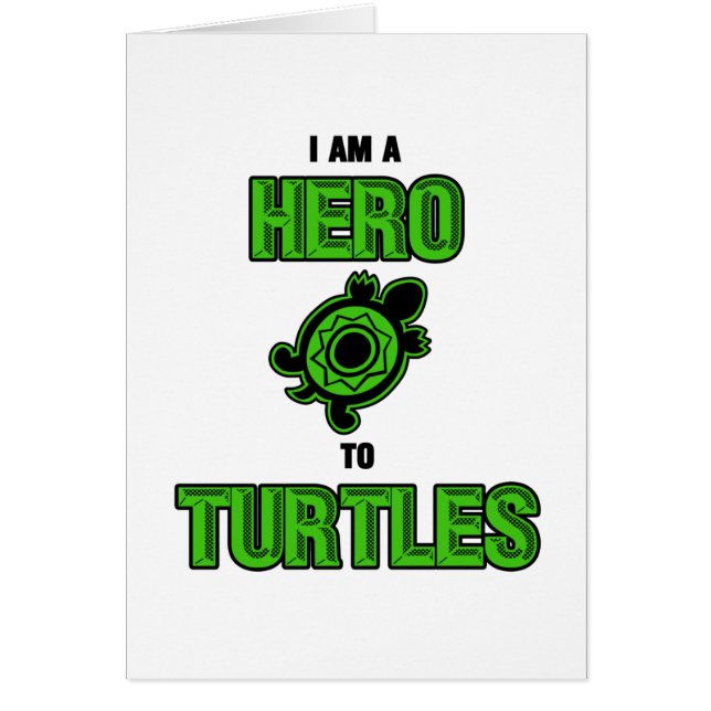 Turtle Hero 1 (Voorkant)