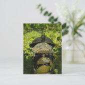 Turtle High Briefkaart (Staand voorkant)