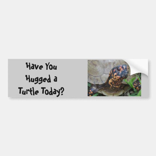 Turtle Hugger Bumpersticker (Voorkant)