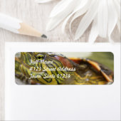 Turtle Identification Mailing Label (Insitu)