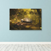 Turtle in Natural Environment - Canvas Print (Insitu (Houten vloer))