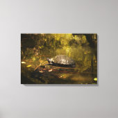Turtle in Natural Environment - Canvas Print (Voorkant)
