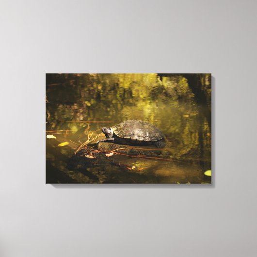 Turtle in Natural Environment - Canvas Print (Voorkant)