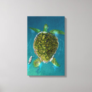 Turtle Island Canvas Afdruk
