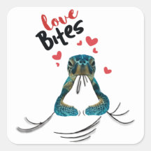 Turtle Love Bites T-Shirt Valentijnse Gifts T-Shir