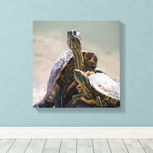 Turtle Love Canvas Afdruk (Insitu (Houten vloer))