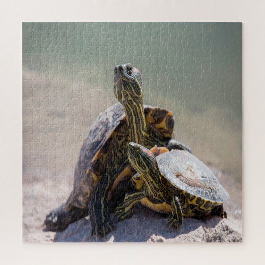 Turtle Love Legpuzzel (Verticaal)