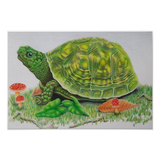 "Turtle Love" Oorspronkelijk poster van Baylen Par (Voorkant)