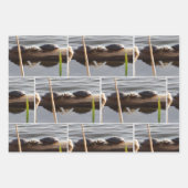 Turtle Lover Wrapping Paper Flat Shts Set of 3 (Voorkant 3)