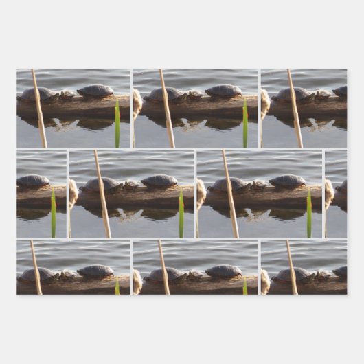 Turtle Lover Wrapping Paper Flat Shts Set of 3 (Voorkant 3)
