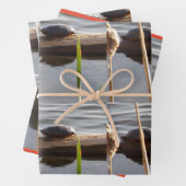 Turtle Lover Wrapping Paper Flat Shts Set of 3 (In situ)