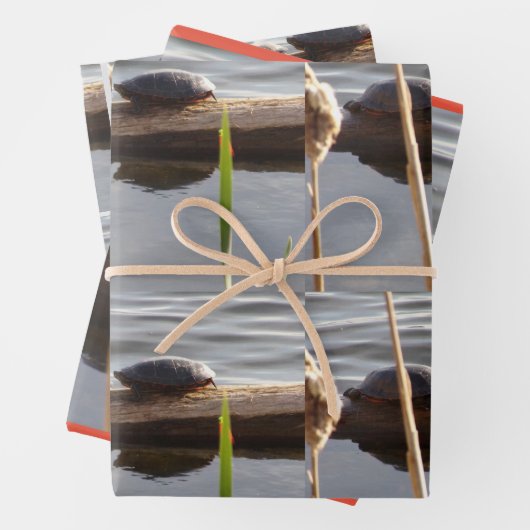 Turtle Lover Wrapping Paper Flat Shts Set of 3 (In situ)