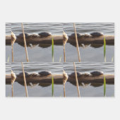 Turtle Lover Wrapping Paper Flat Shts Set of 3 (Voorkant)