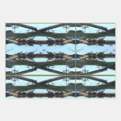 Turtle Lover Wrapping Paper Flat Shts Set of 3 (Voorkant 3)