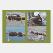 Turtle Lover Wrapping Paper Flat Shts Set of 3 (Voorkant)