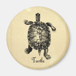  TURTLE MAGNEET