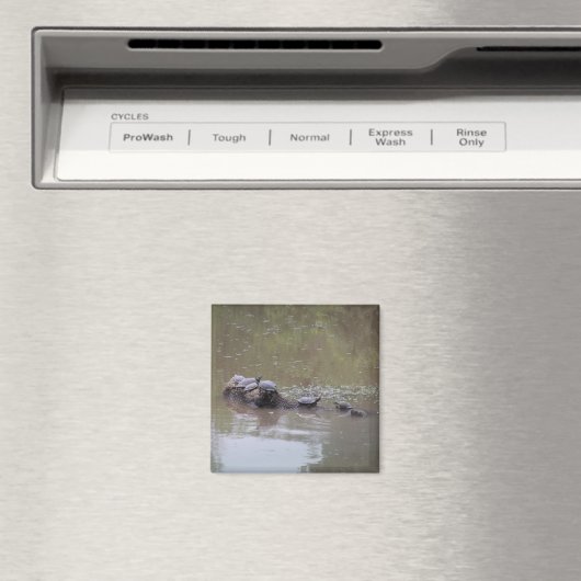 Turtle Magnet (Insitu (Vaatwasser))