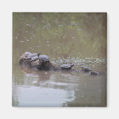 Turtle Magnet (Voorkant)