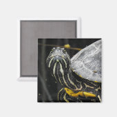 Turtle Magnet (Voorkant / Achterkant)
