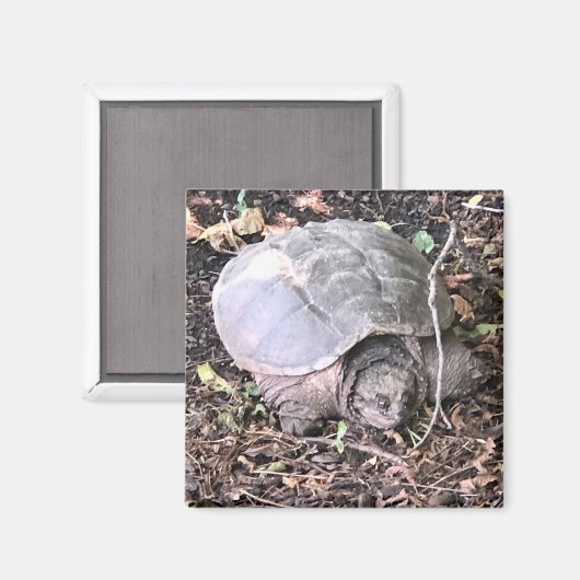 Turtle Magnet (Voorkant / Achterkant)