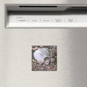 Turtle Magnet (Insitu (Vaatwasser))