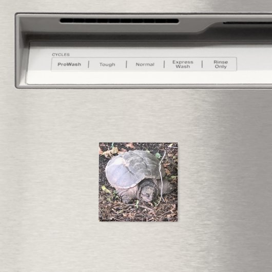 Turtle Magnet (Insitu (Vaatwasser))