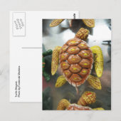 Turtle Magnet Briefkaart (Voorkant / Achterkant)