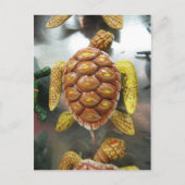 Turtle Magnet Briefkaart (Voorkant)