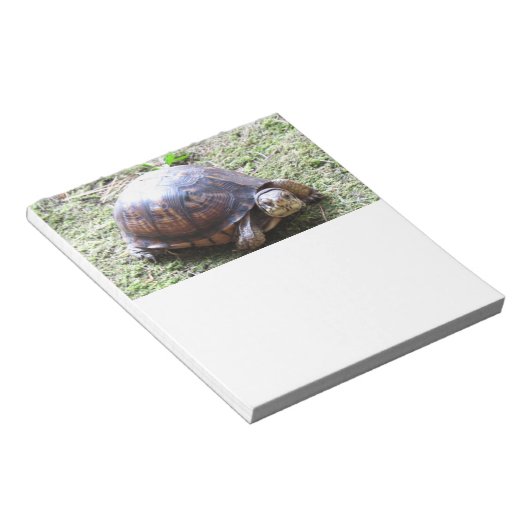 Turtle - Mossy Path Notitieblok (Schuin)