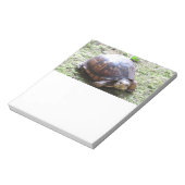 Turtle - Mossy Path Notitieblok (Linkerzijde)