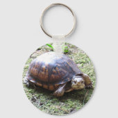 Turtle - Mossy Path Sleutelhanger (Voorkant)