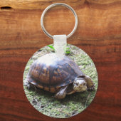 Turtle - Mossy Path Sleutelhanger (Voorkant)