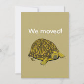 Turtle Moving Announcement Kaart (Voorkant)