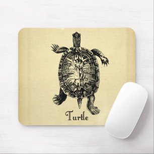 TURTLE MUISMAT
