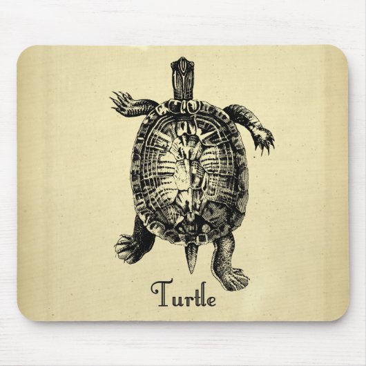 TURTLE MUISMAT (Voorkant)