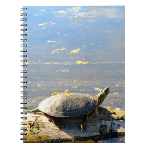 Turtle Notebook Notitieboek
