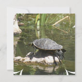 Turtle on a Rock Invitation Kaart (Voorkant)