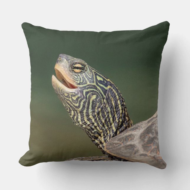 Turtle on LaChute Kussen (Voorkant)