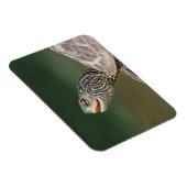 Turtle on LaChute Magneet (Rechterzijde)