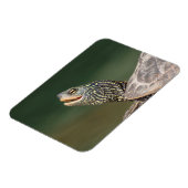 Turtle on LaChute Magneet (Linkerzijde)