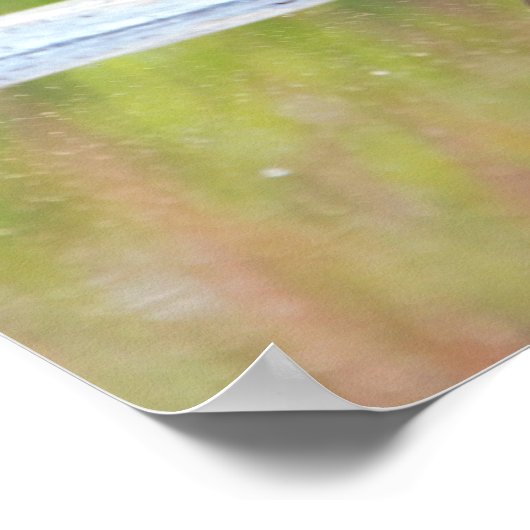 Turtle on Log Poster (Hoek)