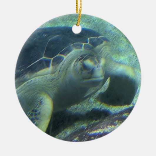 Turtle Ornament (Voorkant)