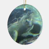 Turtle Ornament (Links)
