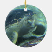 Turtle Ornament (Achterkant)